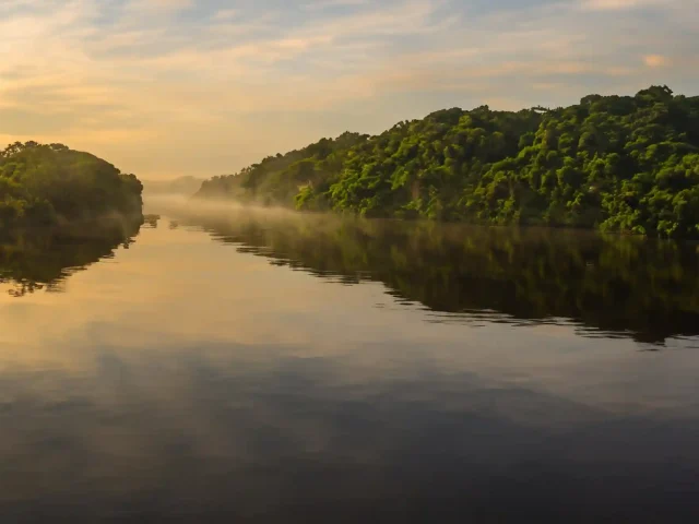 The Truth About Amazon Rainy Season Expeditions