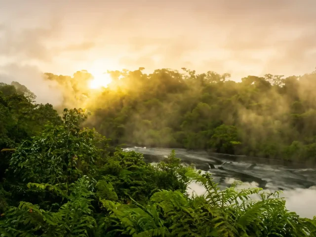 Huacarpay Wetlands - Acjanaco Puna - Wayqecha Cloud Forest