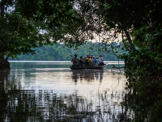 Oxbow Lakes: Wildlife Sanctuaries of the Amazon
