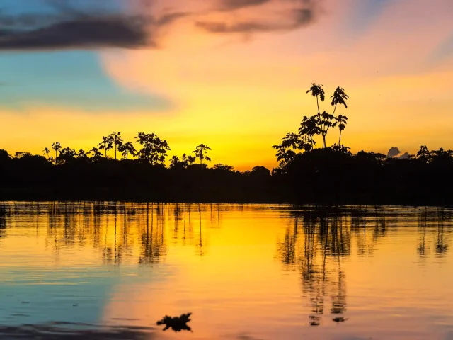 How Sustainable Tourism Protects the Amazon