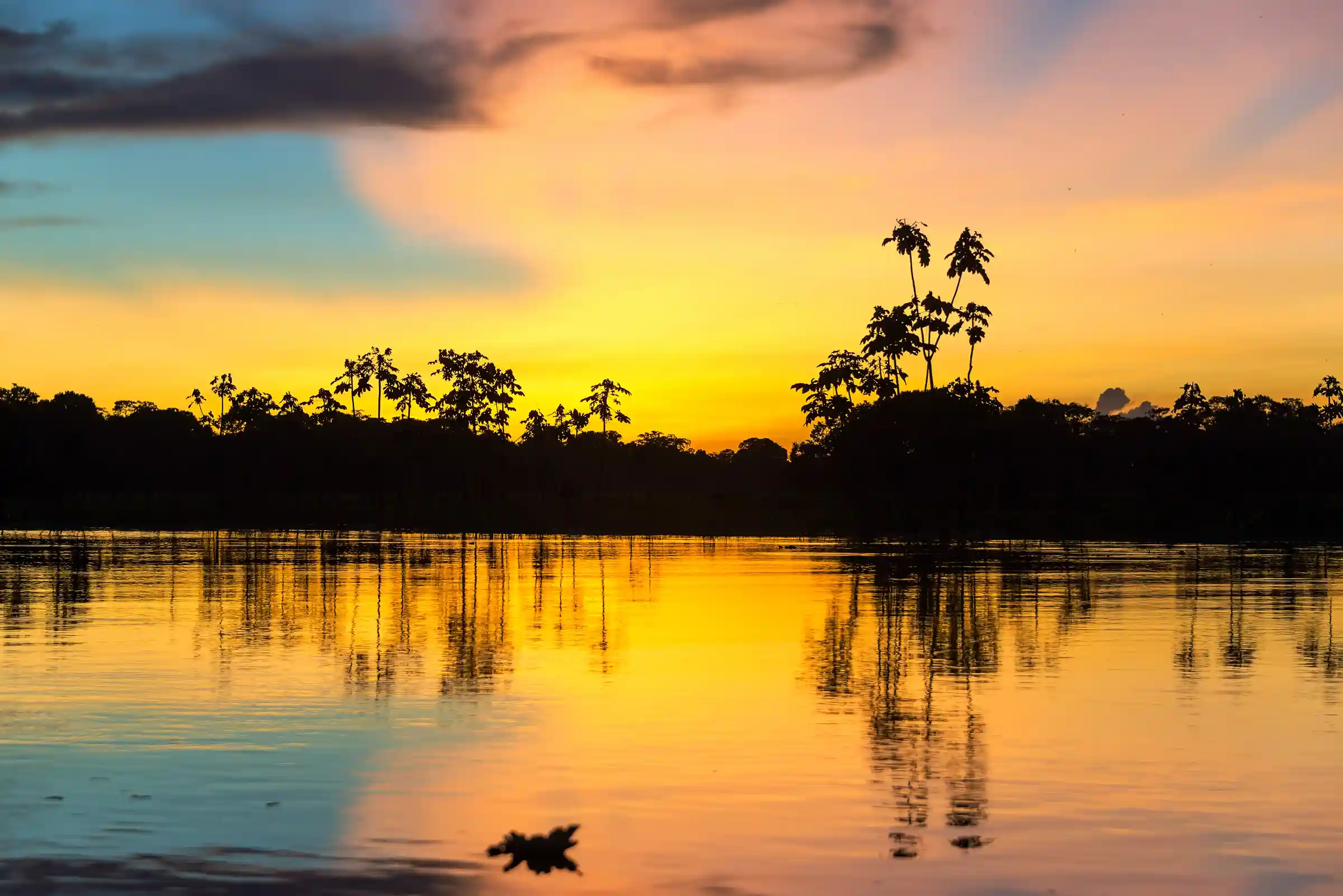 How Sustainable Tourism Protects the Amazon