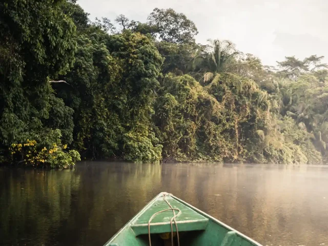 The 9-Hour Descent into Manu National Park