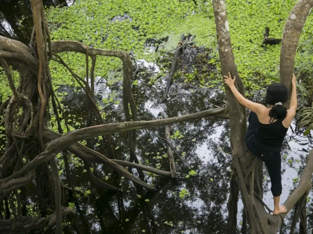Boca Manu - Alto Madre de Dios River - Rainforest Bio-Station